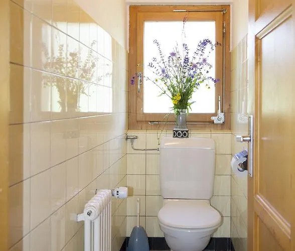 Alpesi faház A La Maison Des Cheneaux *