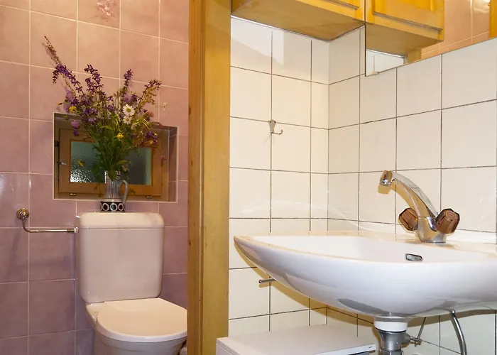 Alpesi faház A La Maison Des Cheneaux *